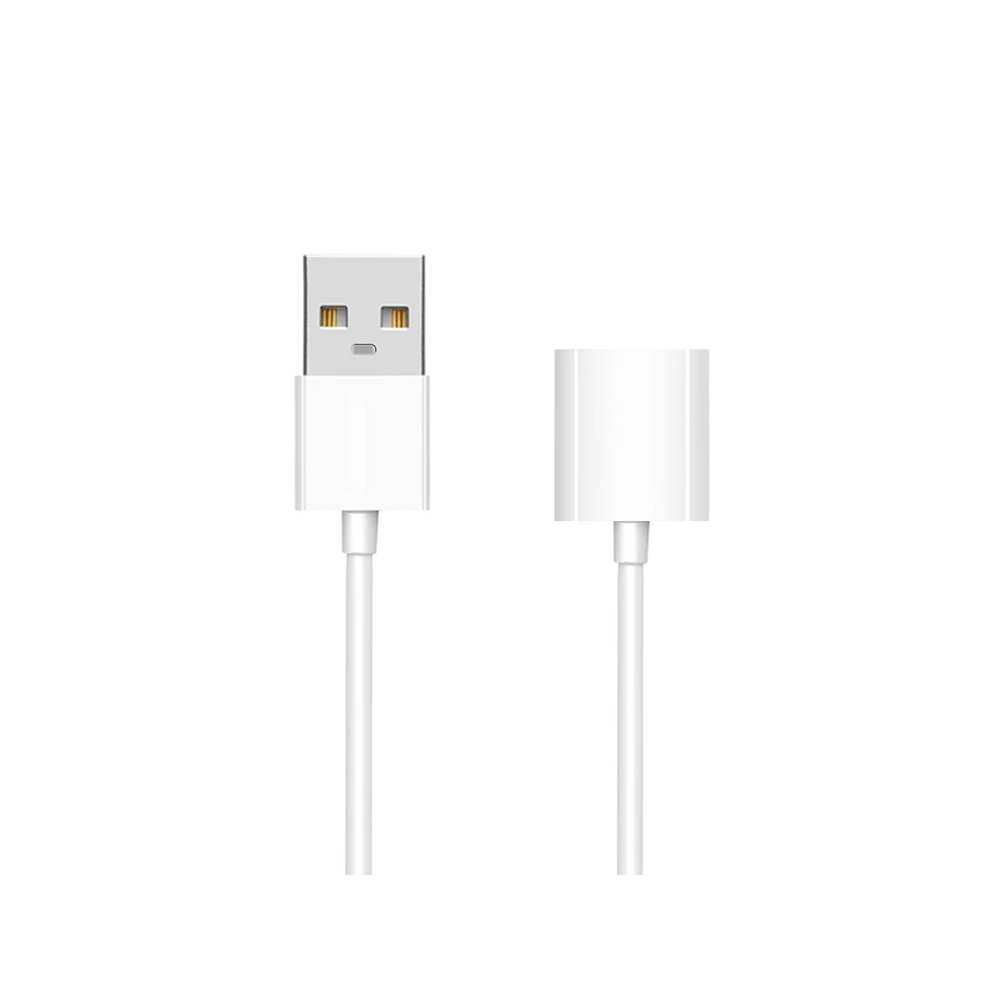 Ally Apple Pencil/kalem İçin Usb Şarj Kablosu 1 metre
