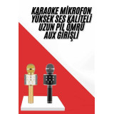 Karaoke Mikrofon Dahili Hoparlörlü Sd-usb-aux Girişli Bluetooth Hoparl