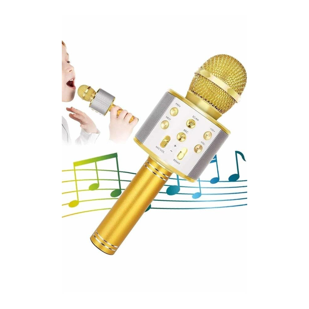 Karaoke Mikrofon Dahili Hoparlörlü Sd-usb-aux Girişli Bluetooth Hoparl