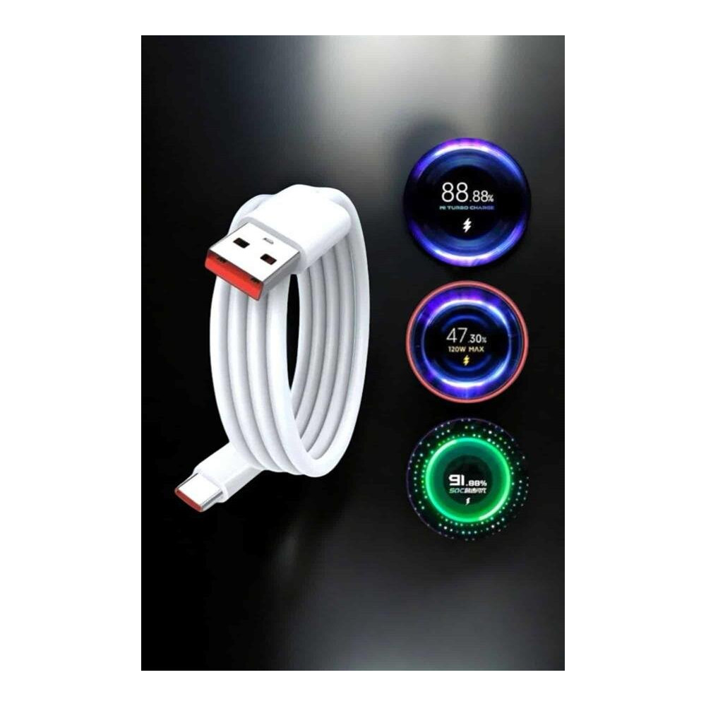 Type-C 120W Şarj Aleti Hızlı Şarj Turbo