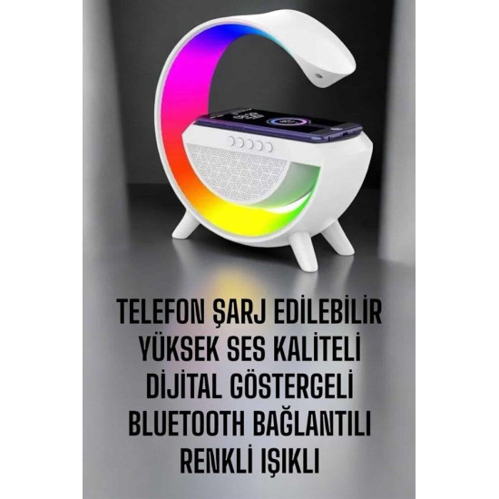 Yüksek Ses Güçlü Kablosuz Hoparlör Karaoke Mikrofonlu