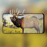 OPPO A9/A5 (2020) 3D Full Glue Tempered Cam Ekran Koruyucu