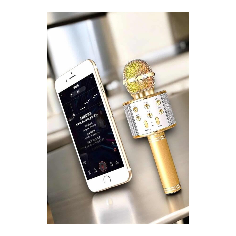 Şarjlı ve Uzun Pil Ömürlü Karaoke Mikrofon USB Bellek Destekli Profesy