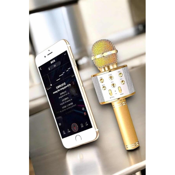 Şarjlı ve Uzun Pil Ömürlü Karaoke Mikrofon USB Bellek Destekli Profesy