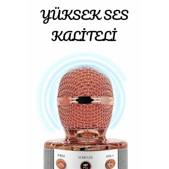 Şarjlı ve Uzun Pil Ömürlü Karaoke Mikrofon USB Bellek Destekli Profesy