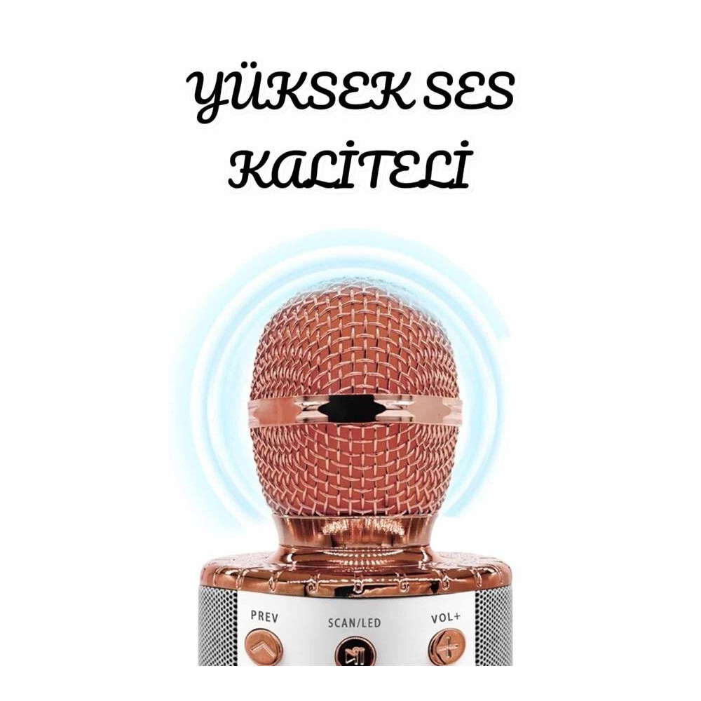 Şarjlı ve Uzun Pil Ömürlü Karaoke Mikrofon USB Bellek Destekli Profesy