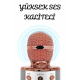 Şarjlı ve Uzun Pil Ömürlü Karaoke Mikrofon USB Bellek Destekli Profesy