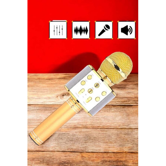 Şarjlı ve Uzun Pil Ömürlü Karaoke Mikrofon USB Bellek Destekli Profesy