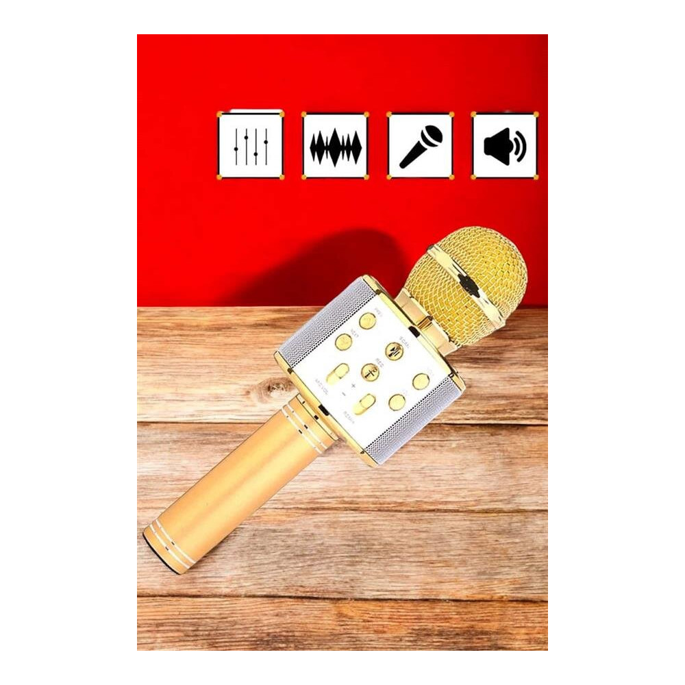 Şarjlı ve Uzun Pil Ömürlü Karaoke Mikrofon USB Bellek Destekli Profesy