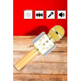 Şarjlı ve Uzun Pil Ömürlü Karaoke Mikrofon USB Bellek Destekli Profesy