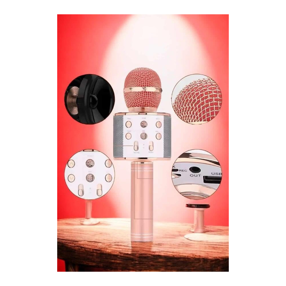 Şarjlı ve Uzun Pil Ömürlü Karaoke Mikrofon USB Bellek Destekli Profesy