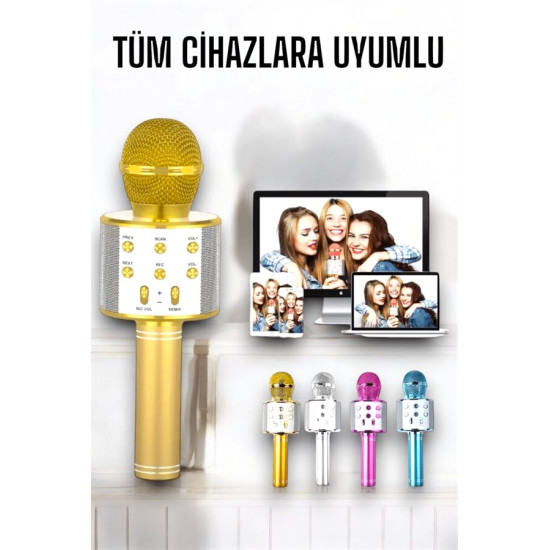 Taşınabilir Bluetooth Karaoke Mikrofon: Hafıza Kart Girişli Etkileyici