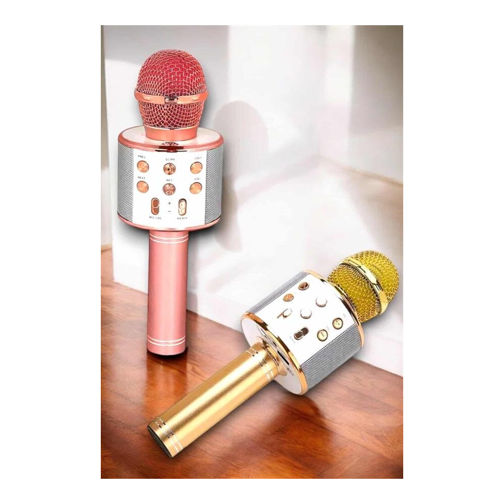 Kablosuz Bluetooth Karaoke Mikrofon USB ve AUX Girişli Yüksek Ses Kali