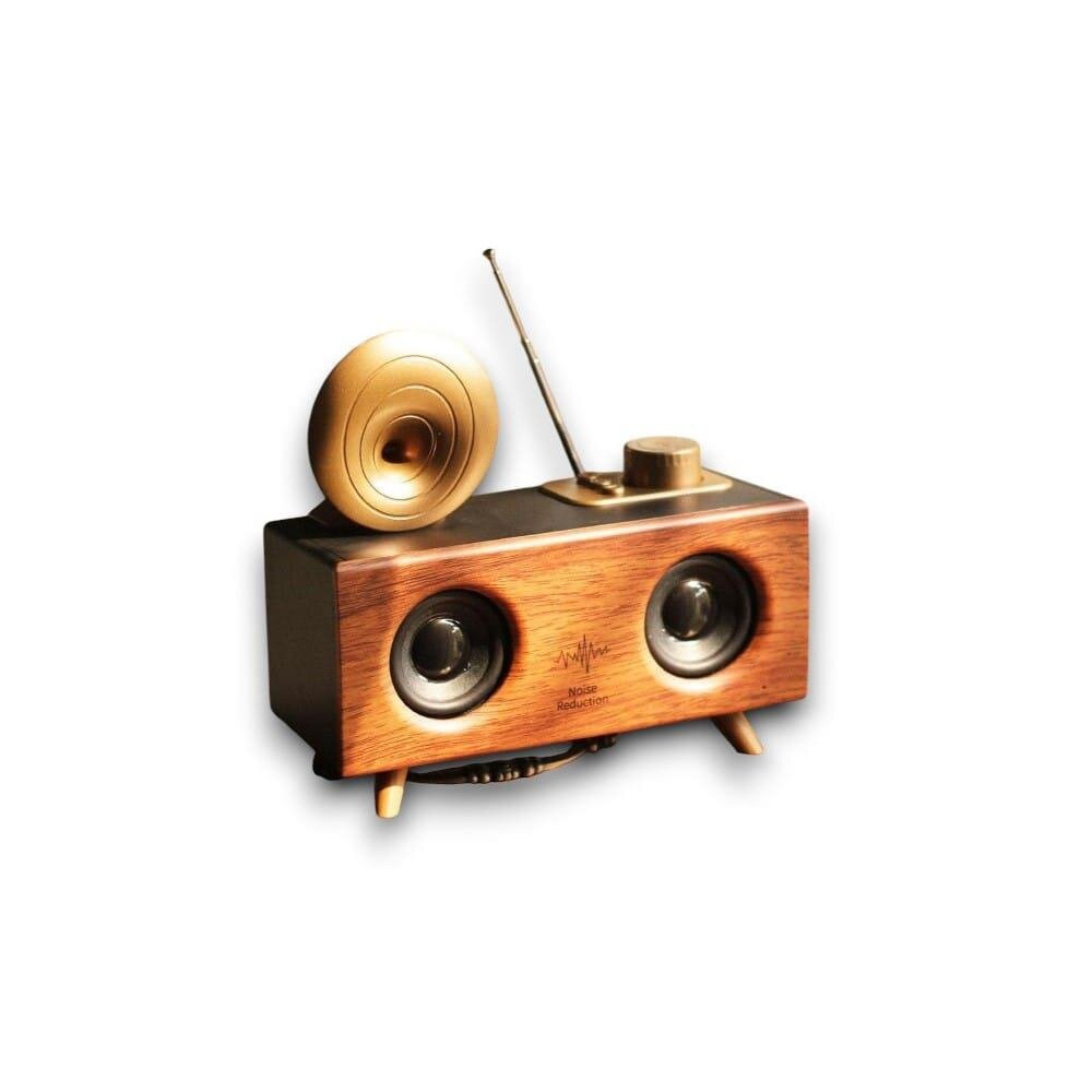 B6 SPEAKER HOPARLÖR