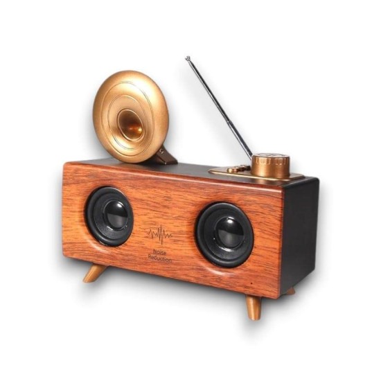 B6 SPEAKER HOPARLÖR