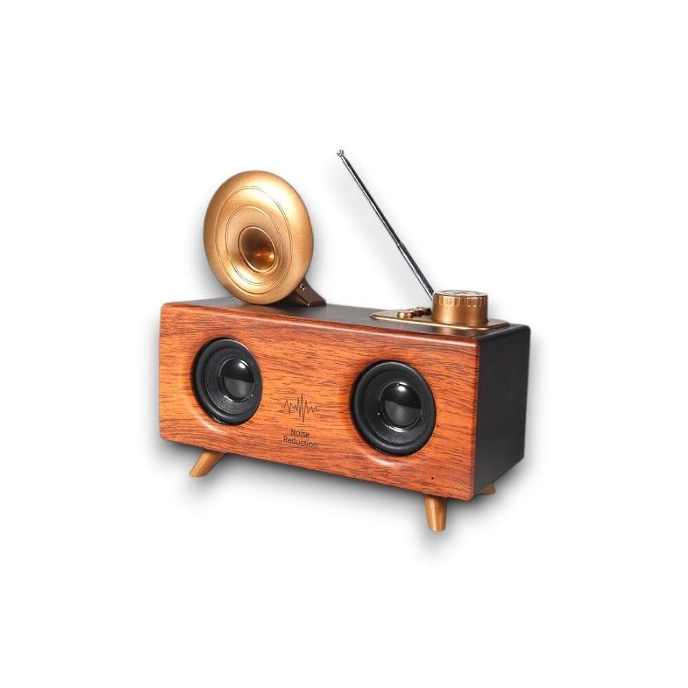 B6 SPEAKER HOPARLÖR