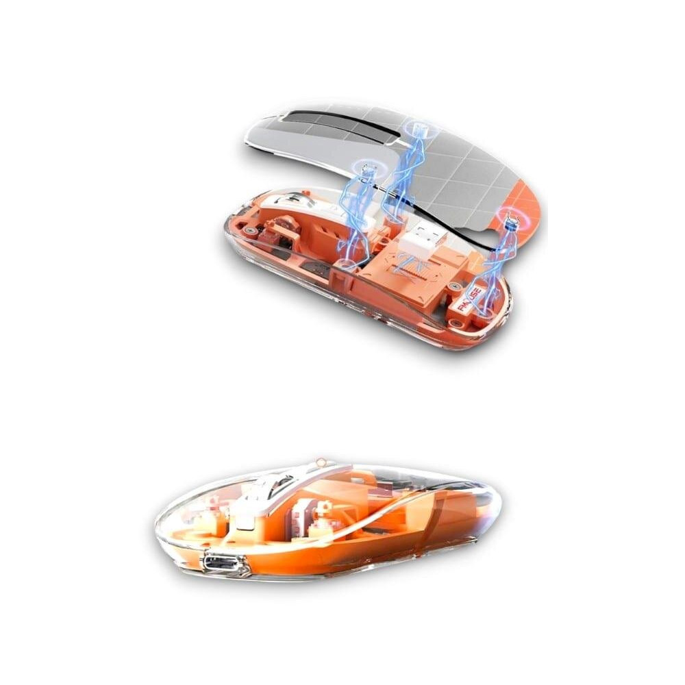 PG-9010 MOUSE FARE
