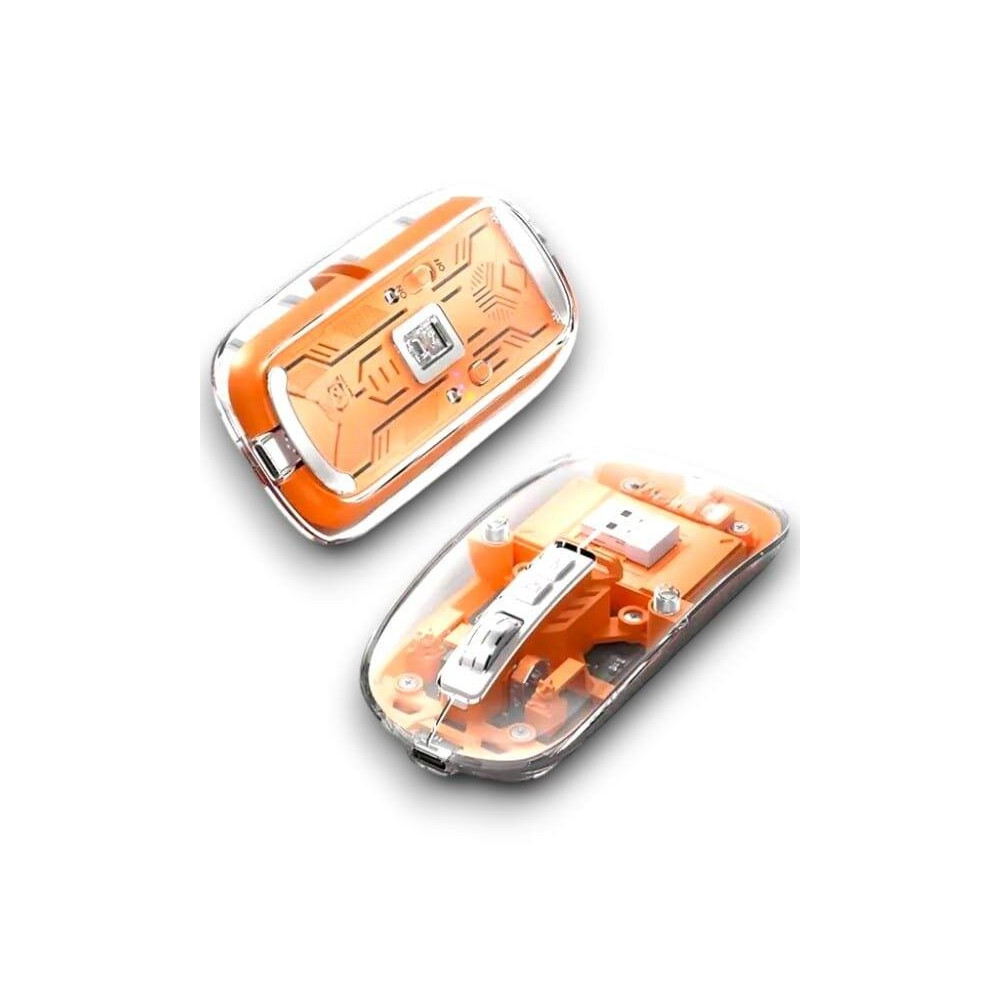 PG-9010 MOUSE FARE