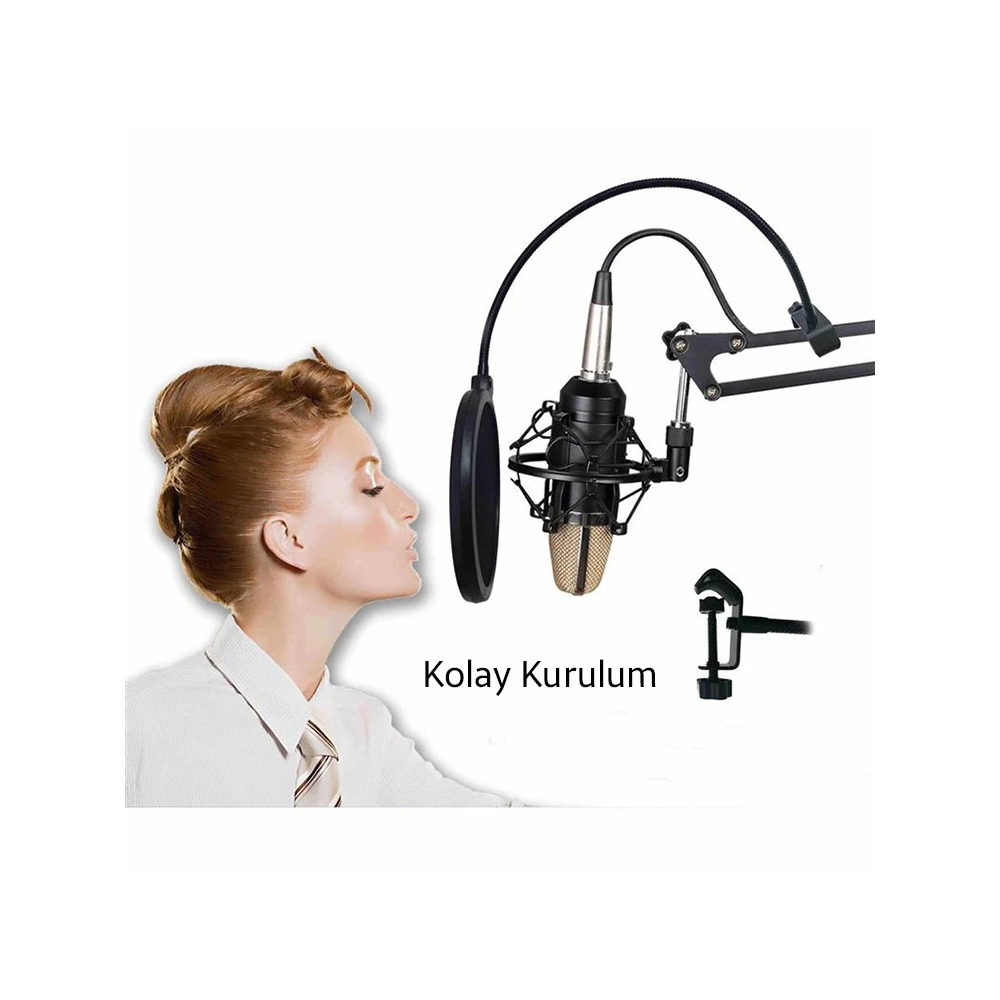 Ally Çift Katman Stüdyo İçin Mikrofon Pop Filtre Youtuber