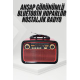 Nostalji Radyo Bluetooth Hoparlör USB-SD Kart Giriş Led Fener Işıklı B