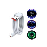 Type C Yüksek Hızlı Şarj Aleti Beyaz 120W Ultra Uzun Ömürlü