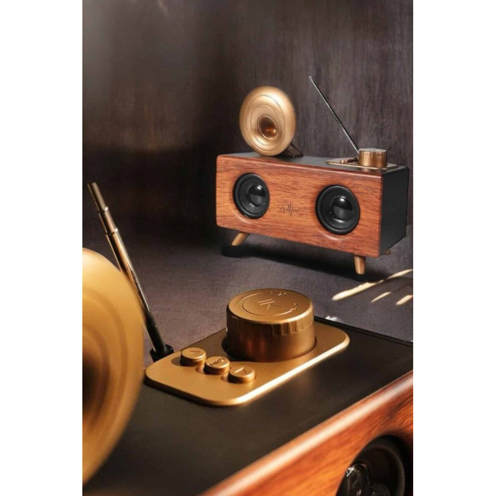 Görünümlü Bluetooth Bağlantılı Speaker