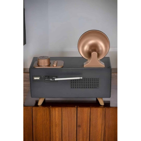 Görünümlü Bluetooth Bağlantılı Speaker