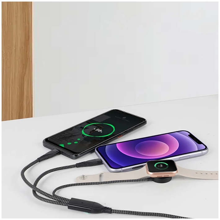 Ally 2x Type-c 100W-27W + Apple Watch İçin Type-c Şarj Kablosu
