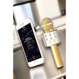 Şarjlı ve Uzun Pil Ömürlü Karaoke Mikrofon USB Bellek Destekli Profesy