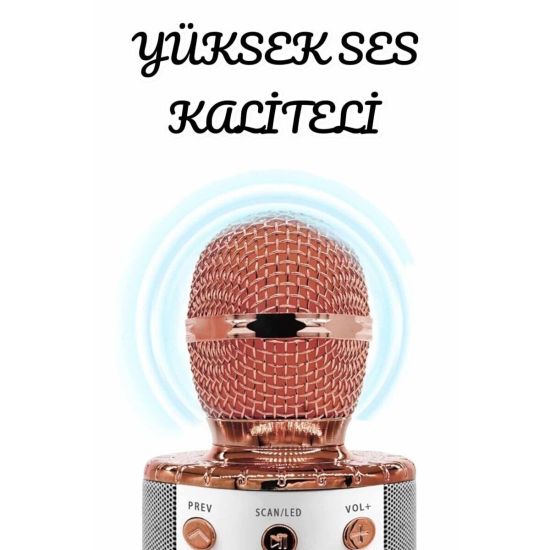 Şarjlı ve Uzun Pil Ömürlü Karaoke Mikrofon USB Bellek Destekli Profesy