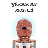 Şarjlı ve Uzun Pil Ömürlü Karaoke Mikrofon USB Bellek Destekli Profesy