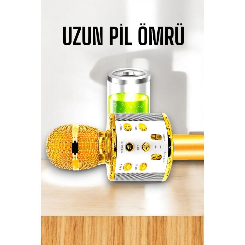 Kablosuz Bluetooth Karaoke Mikrofon USB ve AUX Girişli Yüksek Ses Kali