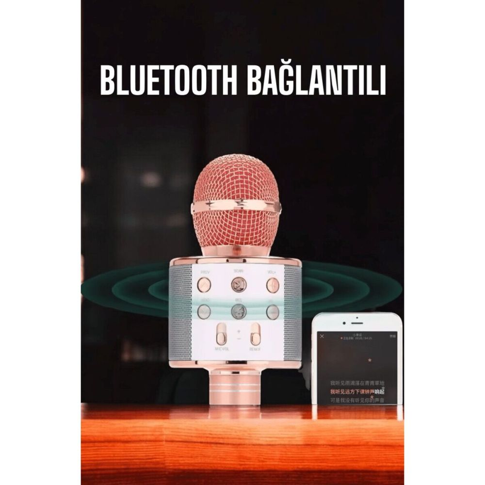 Kablosuz Bluetooth Karaoke Mikrofon USB ve AUX Girişli Yüksek Ses Kali