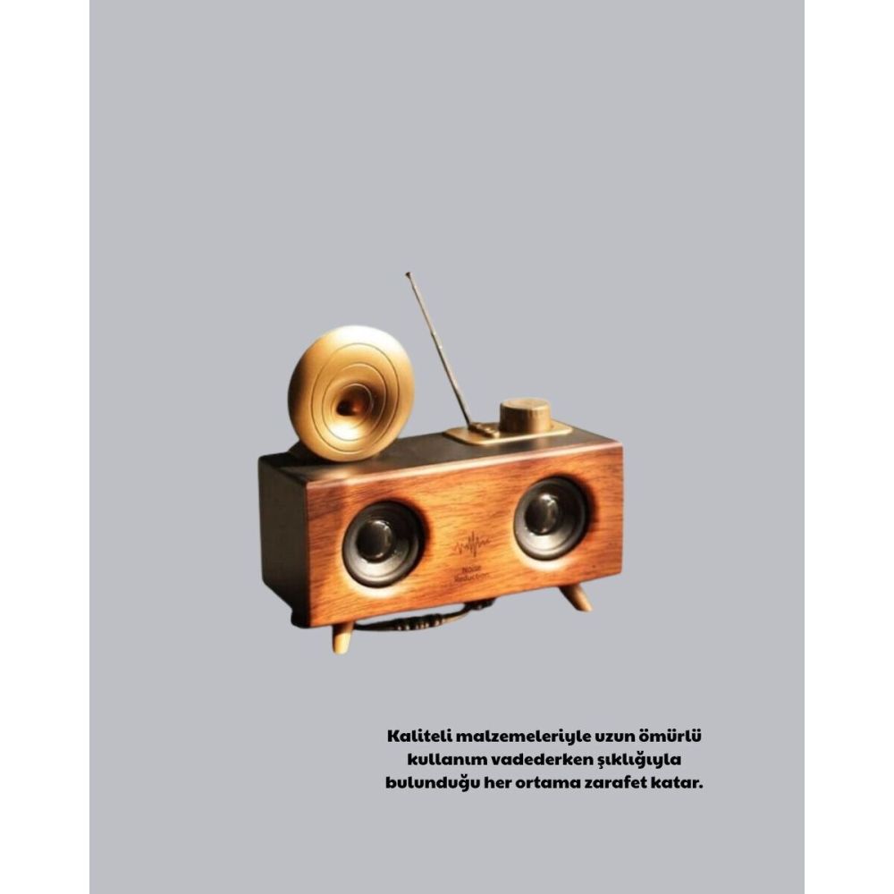 Gramafon Radyo Bluetooth Hoparlör Nostaljik Radyo FM Radyo