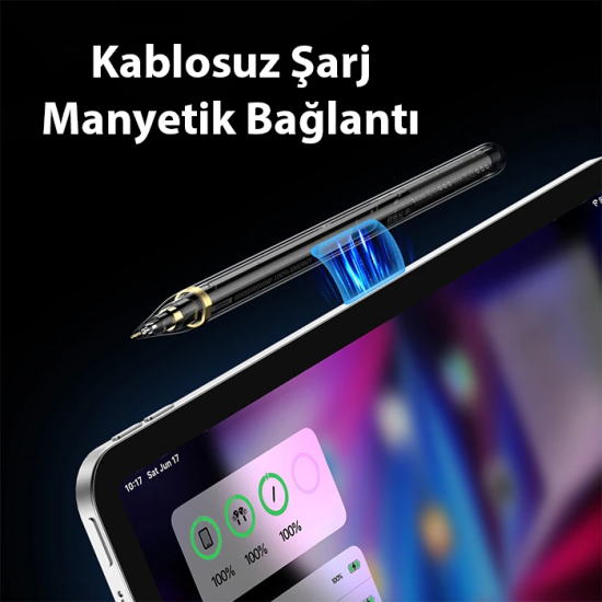 Dux Ducis SP-04 Manyetik Şarjlı Stylus Pen iPad Tablet Dokunmatik Kale
