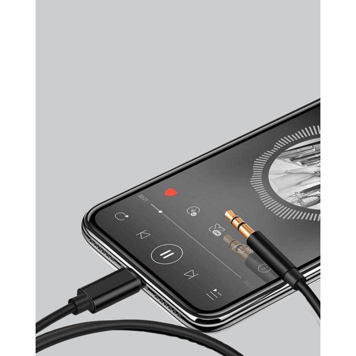 İPHONE AUX