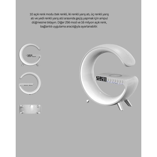 Karaoke Mikrofon Hoparlör Seti Bluetooth Kablosuz Taşınabilir