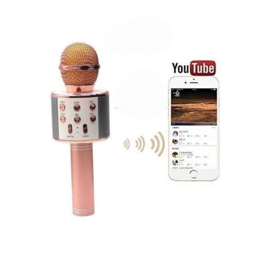 Karaoke Mikrofon Dahili Hoparlörlü Sd-usb-aux Girişli Bluetooth Hoparl