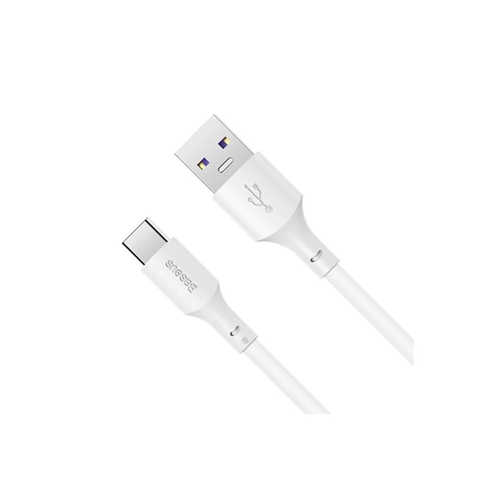 Baseus Simple Wisdom 100W USB to Type-C Hızlı Data Şarj Kablosu
