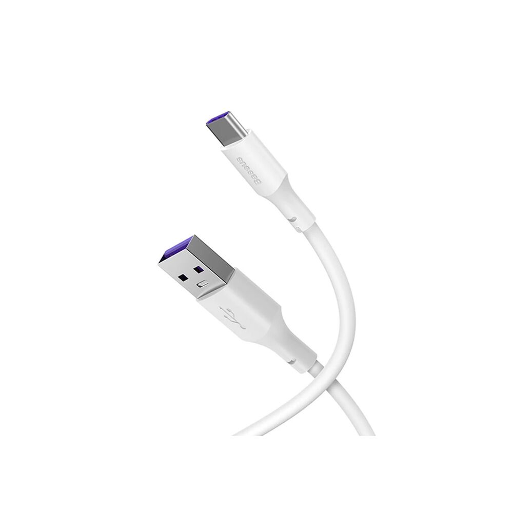 Baseus Simple Wisdom 100W USB to Type-C Hızlı Data Şarj Kablosu