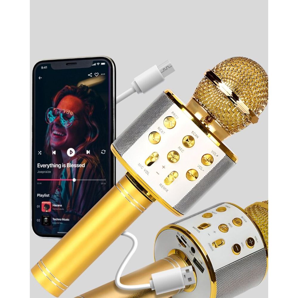 Karaoke Mikrofonu Bluetooth USB AUX Girişli Yankı Efektli