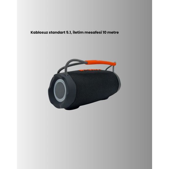 10W Çift Çıkış Güçlü Bluetooth Hoparlör Eller Serbest