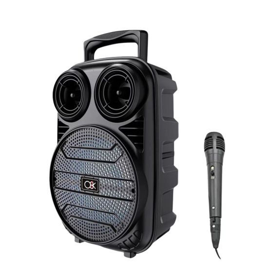 RGB Işıklı Bluetooth Karaoke Hoparlör Mikrofonlu USB TF Kart Destekli 