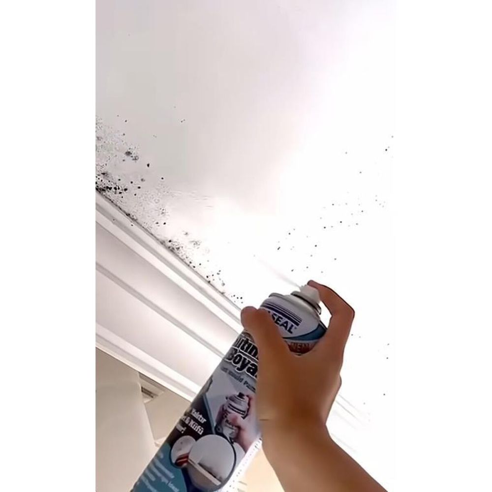 Vodaseal Anti Küf Yalıtım Boyası Sprey 500 ml