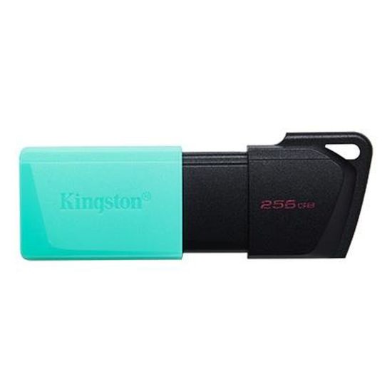 256 GB KINGSTON EXODIA M USB BELLEK 3.2 DT DTXM/256GB