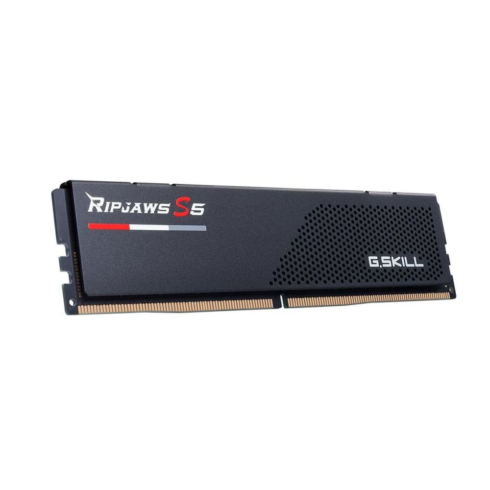 GSKILL F55200J4040A24GX1-RS5K, 24GB, DDR5, 5200MHz CL40, 1.1V, XMP 3.0