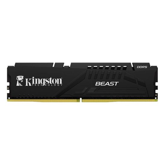 16 GB DDR5 5600MHZ KINGSTON BEAST BLACK EXPO CL36 DIMM KF556C36BBE-16T