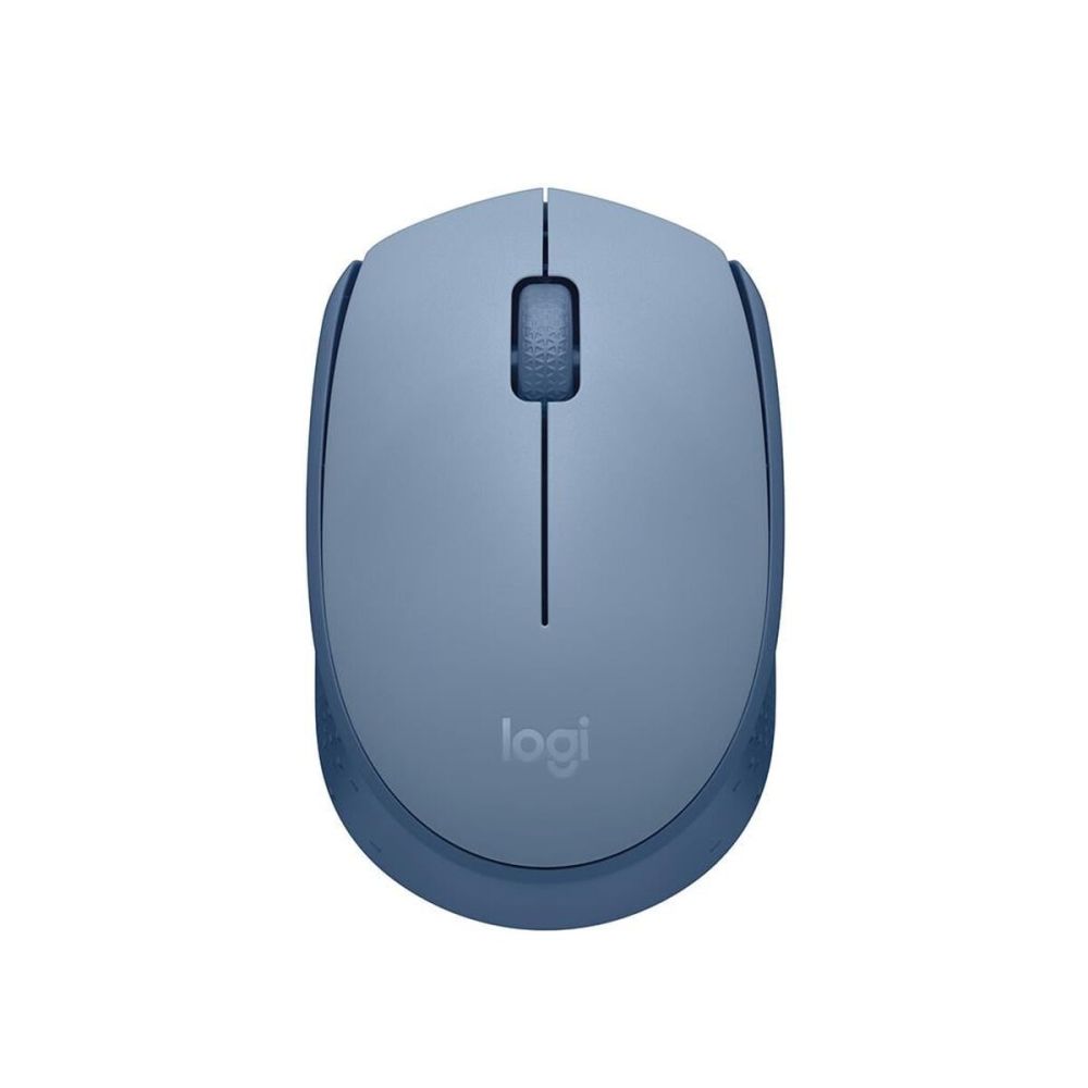 LOGITECH 910-006866, M171 BlueGrey, USB Nano 2,4G Kablosuz, 1000dpi, O