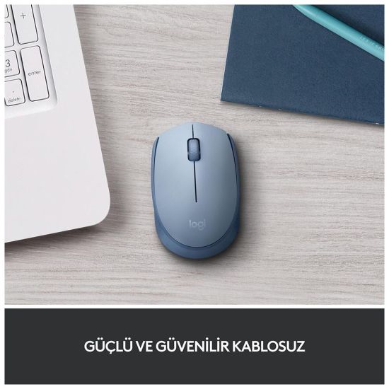 LOGITECH 910-006866, M171 BlueGrey, USB Nano 2,4G Kablosuz, 1000dpi, O