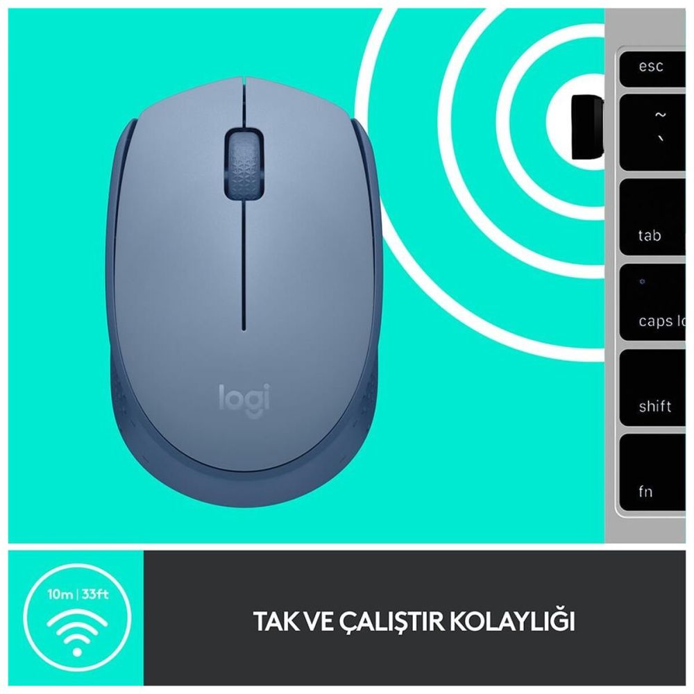 LOGITECH 910-006866, M171 BlueGrey, USB Nano 2,4G Kablosuz, 1000dpi, O